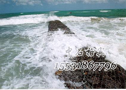 ct73.jpg 格賓網(wǎng)護(hù)堤