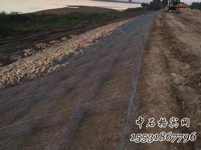 高爾凡雷諾護(hù)墊 高爾凡雷諾護(hù)墊