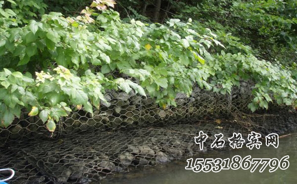 格賓網擋墻.jpg 格賓網擋墻.jpg