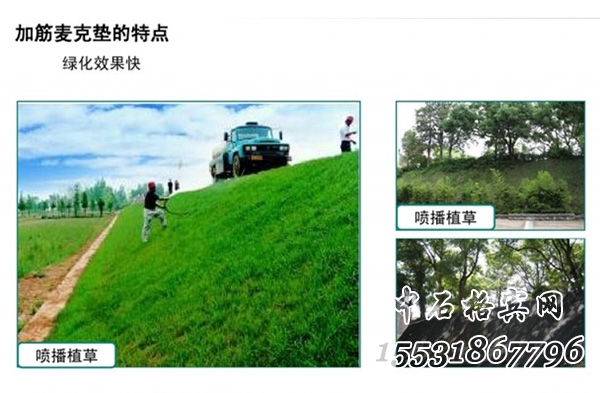 生態(tài)護坡加筋麥克墊 生態(tài)護坡加筋麥克墊