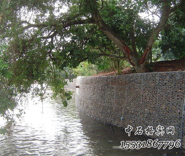 鍍高爾凡格賓網(wǎng).jpg 鍍高爾凡格賓網(wǎng).jpg