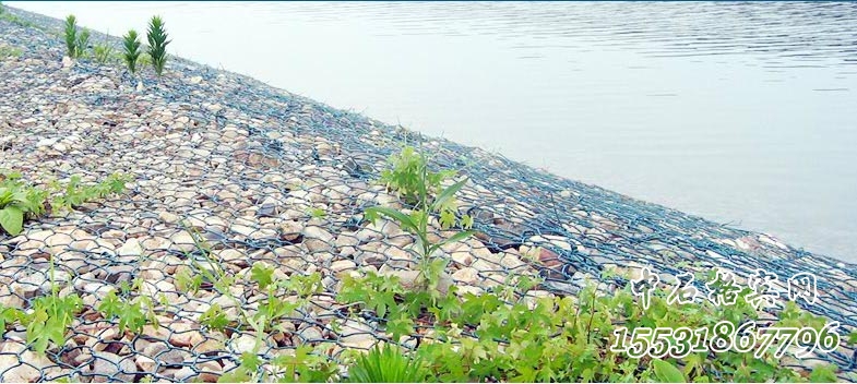 綠濱墊護岸 綠濱墊護岸