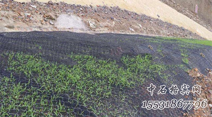 鍍高爾凡加筋三維植物網墊 鍍高爾凡加筋三維植物網墊